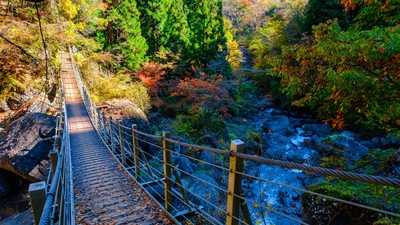 หุบเขาโอยานางาวะ ยามานาชิ | สะพานแขวน น้ำตก และใบไม้เปลี่ยนสี