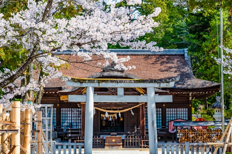 武田神社参拝｜武田信玄を祀る躑躅ヶ崎館跡を歩く甲府観光