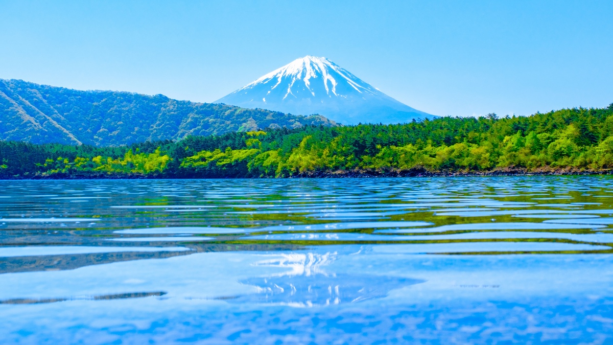 西湖観光｜富士山と青木ヶ原樹海の見どころ・季節・回り方