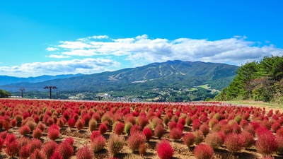 Hirugano Picnic Garden Guide: Highland Fun in Gujo, Gifu