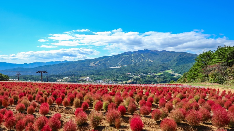 Hirugano Picnic Garden Guide: Highland Fun in Gujo, Gifu