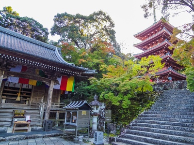 高知で訪れたい歴史・文化スポット10選｜城下町と偉人の足跡