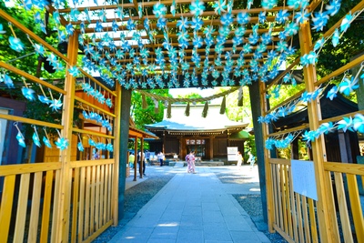 川越氷川神社｜縁結びパワースポットで恋愛成就を願う参拝ガイド