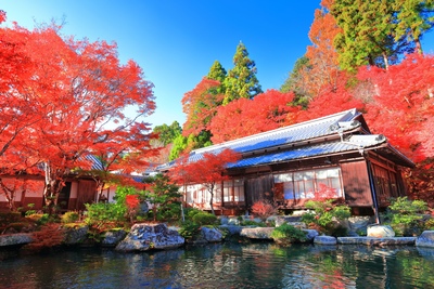 滋賀・百済寺を巡る｜石垣参道と天下遠望の庭園