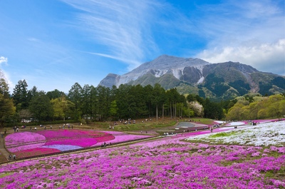 武甲山ハイキング｜秩父のシンボルを歩く絶景登山コース