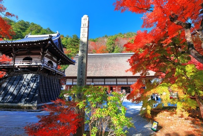 永源寺観光｜愛知川沿いの禅寺と紅葉を楽しむ