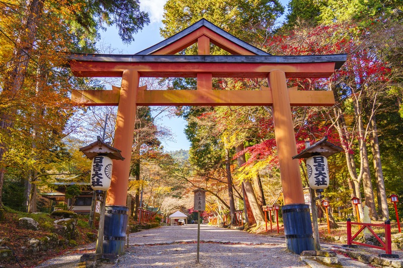 日吉大社とは?|歴史・社殿・境内の見どころを紹介