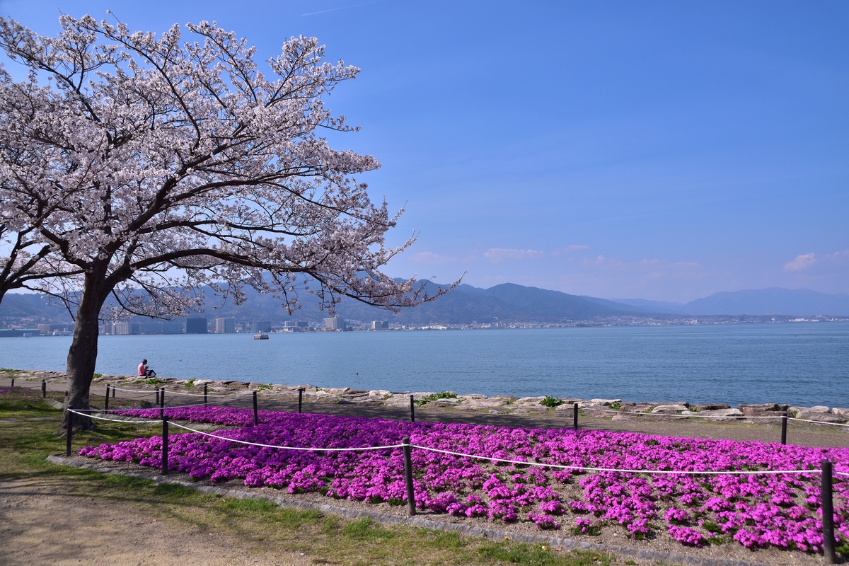 大津 湖岸 なぎさ 公園
