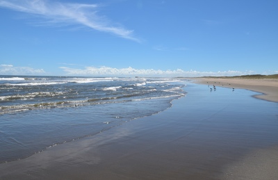 千葉・九十九里浜｜ロングビーチで海水浴とマリンスポーツを楽しむ一日プラン