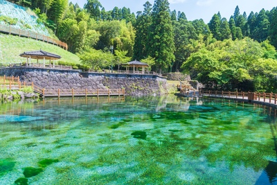 丸池湧水を巡る｜透明な水と石畳が彩る癒やしの風景