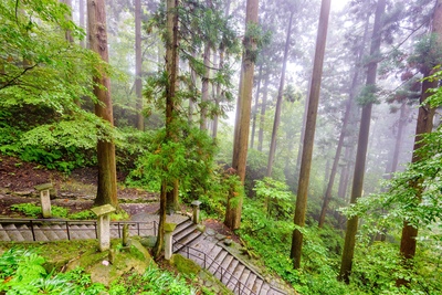 夏の山形 蔵王・山寺・最上川1泊2日｜ロープウェイと舟下りを巡る
