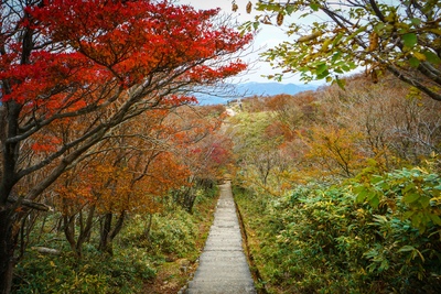 三重の夏観光スポット10選｜海辺・山上・屋内施設を巡る旅