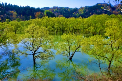 山形発の絶景スポット10選｜山寺・蔵王・海辺の風景美を巡る