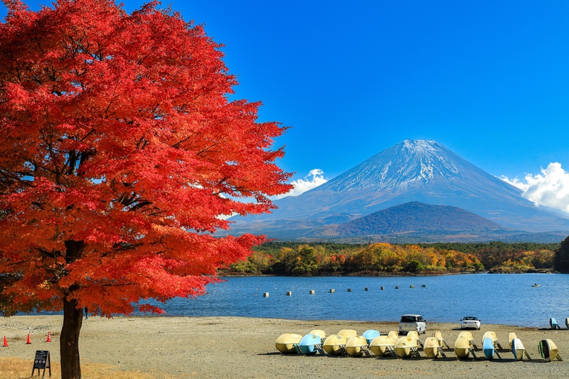山梨の絶景スポット10選｜富士山・湖・渓谷の風景を巡る旅