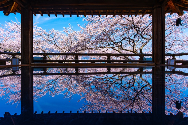 滋賀の神社・お寺10選｜比叡山の古刹と湖畔の祈りを巡る旅