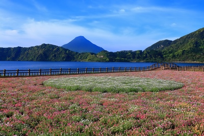 池田湖の見どころ｜開聞岳とカルデラ湖を望む指宿の水辺散策
