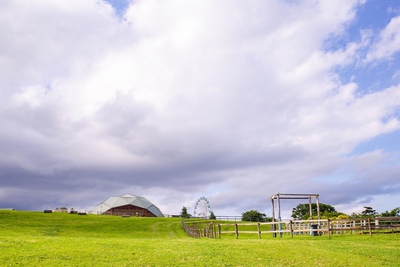 千葉・マザー牧場｜動物ふれあいと花畑を楽しむファミリー向け一日プラン