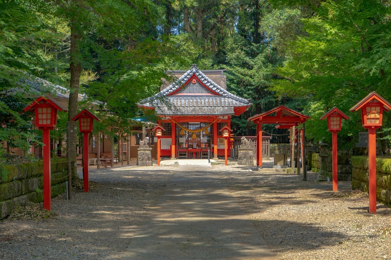 郡山八幡神社の参拝案内｜本殿彫刻と焼酎墨書の歴史を深く知る
