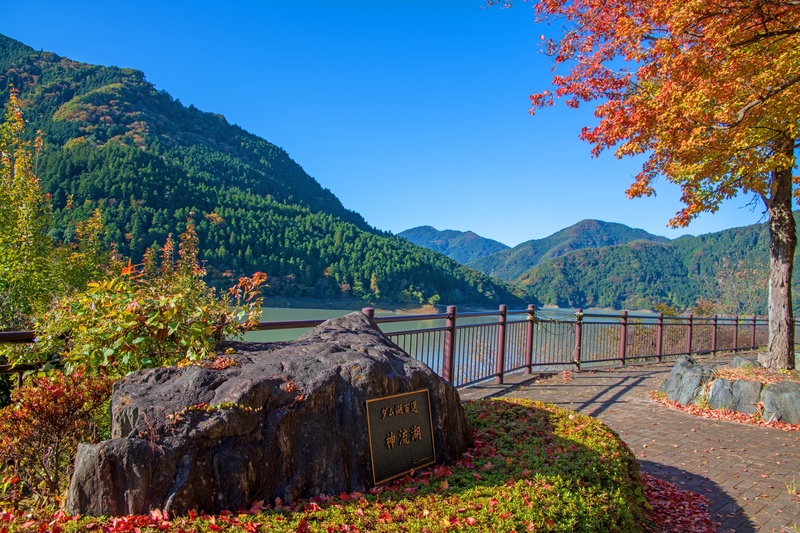 城峯公園の歩き方｜約600本の冬桜と紅葉、神流湖の展望を楽しむ