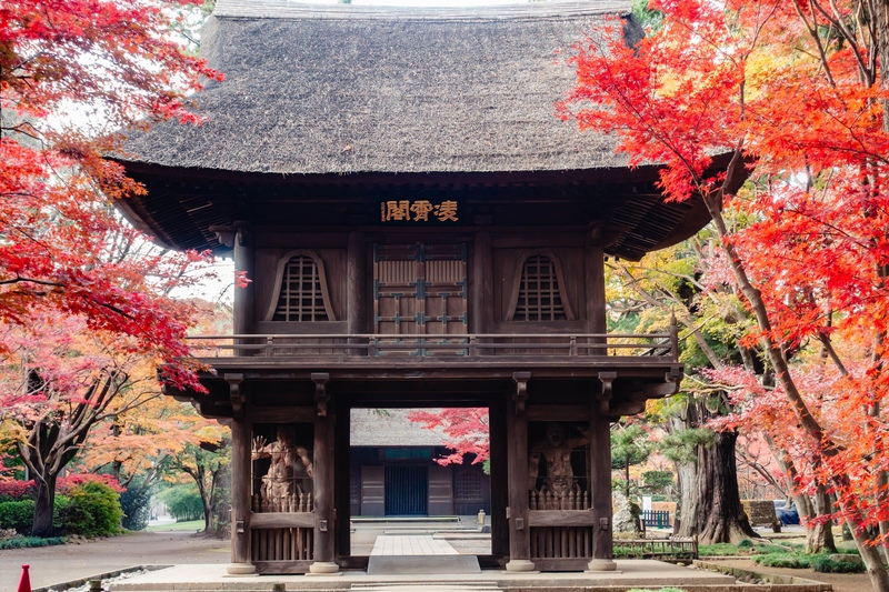 平林寺の見どころと拝観案内｜禅寺の伽藍と国指定天然記念物の雑木林を歩く