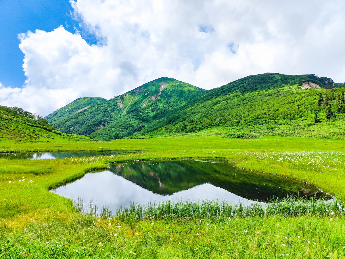 火打山を歩く｜高谷池と天狗の庭、ライチョウを守る登山計画