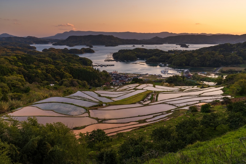 大浦の棚田を歩く｜伊万里湾といろは島を望む農村景観の楽しみ方