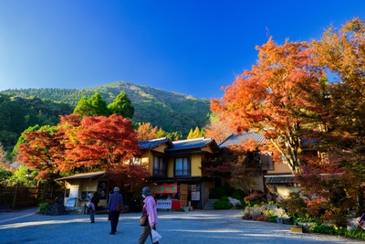 環境芸術の森の歩き方｜青もみじと逆さ紅葉、風遊山荘を巡る