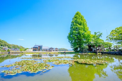 佐賀・縫ノ池を歩く｜復活した金妙水と湧水景観の見どころ・アクセス