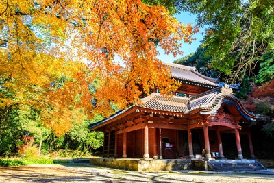 多久聖廟を歩く｜孔子廟の建築と釈菜、文教の歴史を深く読む