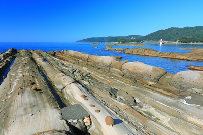 竜串海岸を歩く｜奇岩・生痕化石と1700万年前の地層を読む