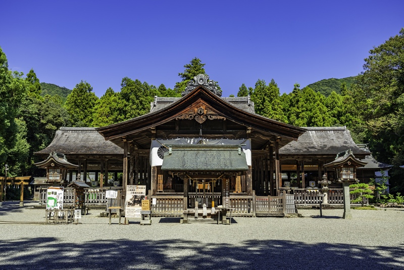 土佐神社を歩く｜入蜻蛉の社殿と楼門、土佐一宮の祈りを知る