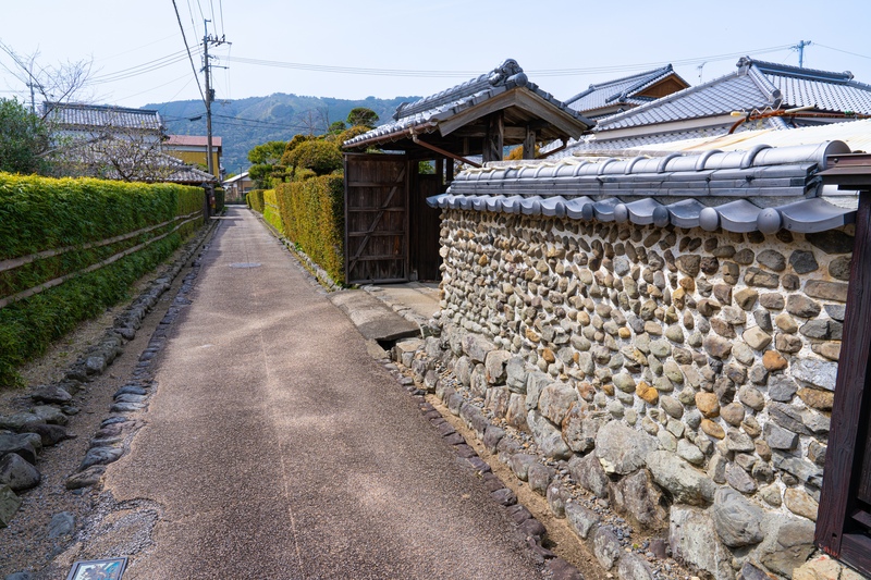 土居廓中を歩く｜ウバメガシの生垣と練り塀、武家町の町割を読む