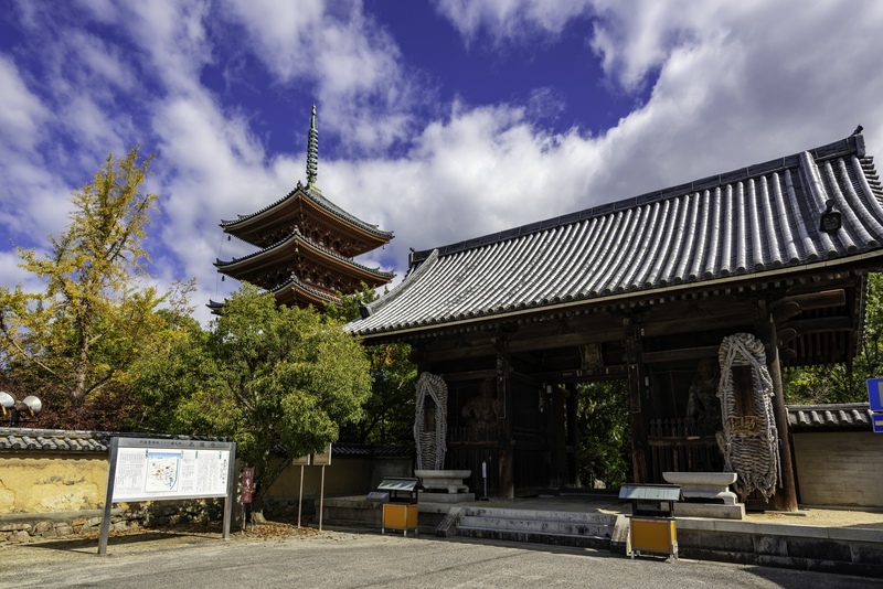 志度寺を歩く｜海女の玉取り伝説と無染庭、五重塔をたどる海辺参拝