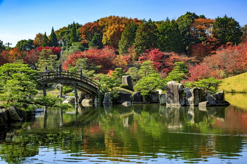 三景園を歩く｜山・里・海の3景と大海、季節の花をゆっくり巡る