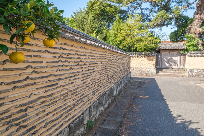 萩・平安古鍵曲を歩く｜直角の小路と土塀、夏みかんの景観を読む