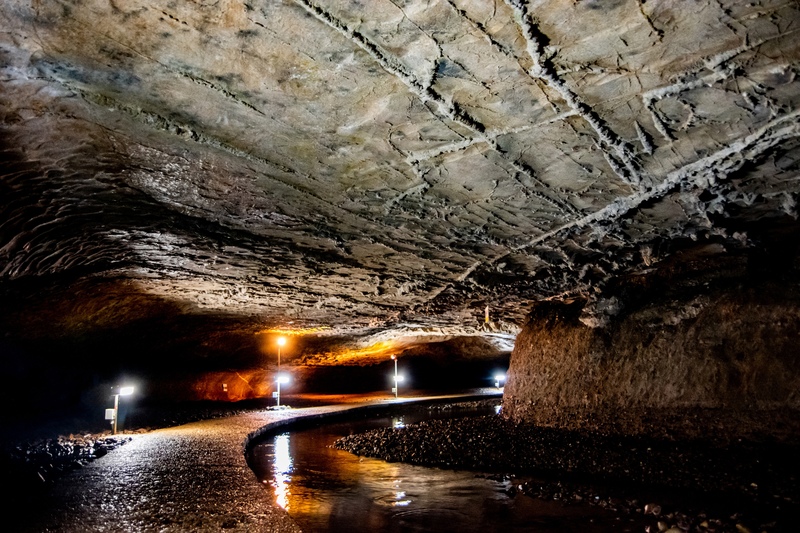 景清洞を歩く｜700mの観光路と暗闇の400m探検、化石を読む