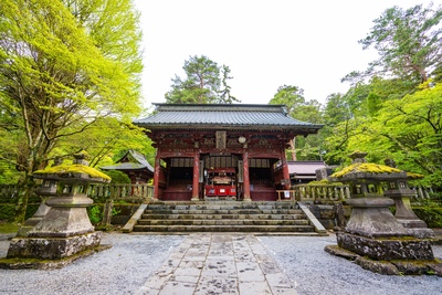 北口本宮冨士浅間神社を歩く｜杉並木と社殿に学ぶ富士信仰の文化