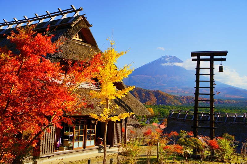 西湖いやしの里根場を歩く｜兜造りの茅葺集落と富士山、防災を学ぶ