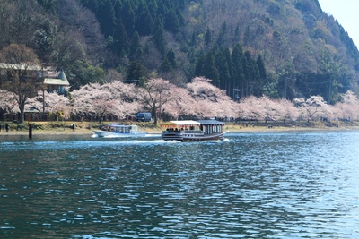 海津大崎の岩礁を歩く｜暁霧の琵琶湖八景と桜並木