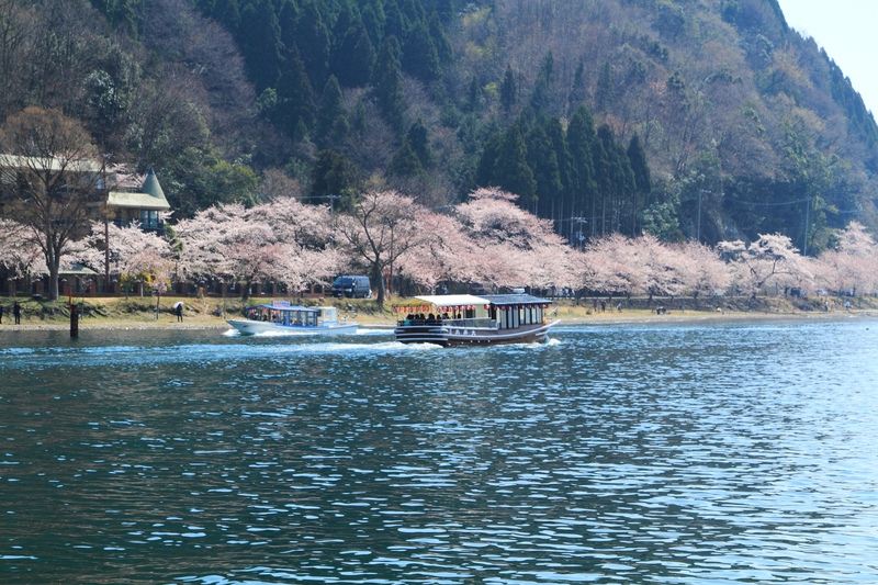 海津大崎の岩礁を歩く｜暁霧の琵琶湖八景と桜並木