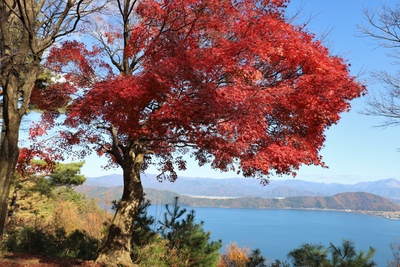 奥琵琶湖パークウェイを走る｜つづら尾崎展望台と竹生島、湖岸の景色