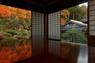 青岸寺を歩く｜苔で水を描く名勝庭園と三尊石、禅寺の歴史を読む