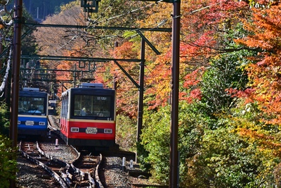 箱根登山ケーブルカーに乗る｜6駅と急勾配、強羅から早雲山へ