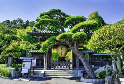 鎌倉・長谷寺の参拝ポイント｜十一面観音と弁天窟、花の境内