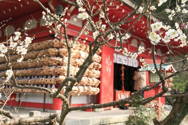 荏柄天神社の由緒と見どころ｜菅原道真・移築本殿・筆塚の文化