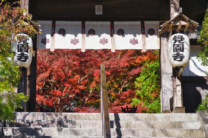 覚園寺の薬師信仰を知る｜茅葺きの薬師堂と十二神将、北条氏の祈り