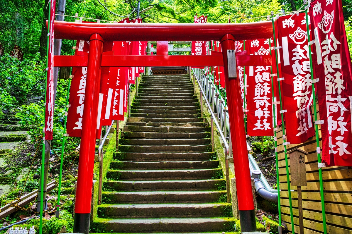 佐助稲荷神社と源頼朝の伝承｜朱の鳥居と白狐、出世稲荷の信仰
