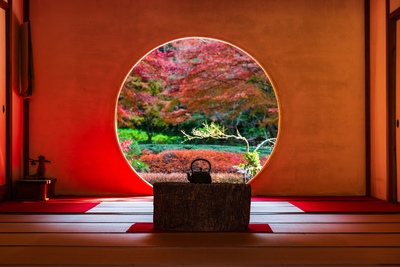 明月院で楽しむ四季の花｜明月院ブルーと丸窓、北鎌倉の歴史