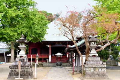 飯泉山勝福寺の観音信仰｜坂東第5番札所と江戸期本堂、大イチョウ