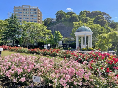 ヴェルニー公園に映る日仏の近代史｜バラ園とティボディエ邸、軍港の眺め